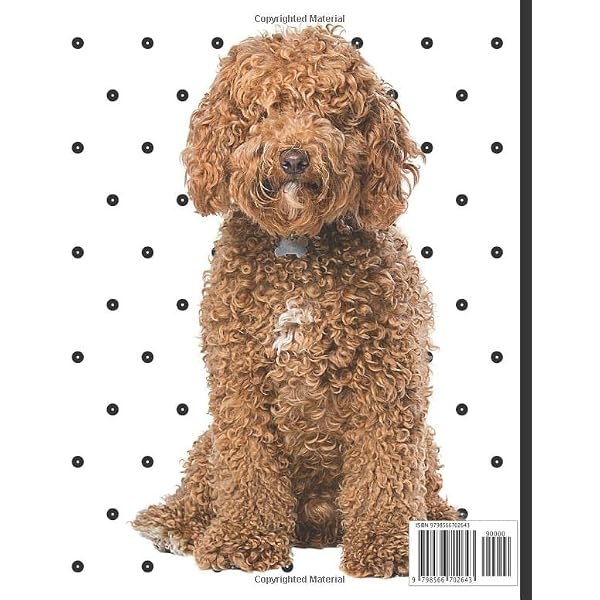 Labradoodle: Fantastic Record Keeping and Care Log Book For Your Dog: Makes Communication Easy For You and Your Doggy Carer Labradoodle: Fantastic Record Keeping and Care Log Book For Your Dog: Makes Communication Easy For You and Your Doggy Carer