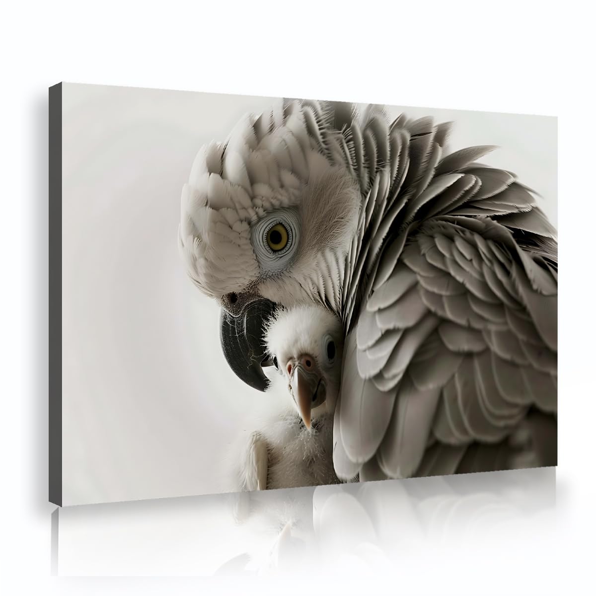Via Vela Fbh10 Realistic Wildlife Canvas Wall Art Cute Grey Parrot Mother And Baby Painting White Cockatoo Bird Animal Picture Print For Nursery Kids Room Corridor Decor 50X75cm