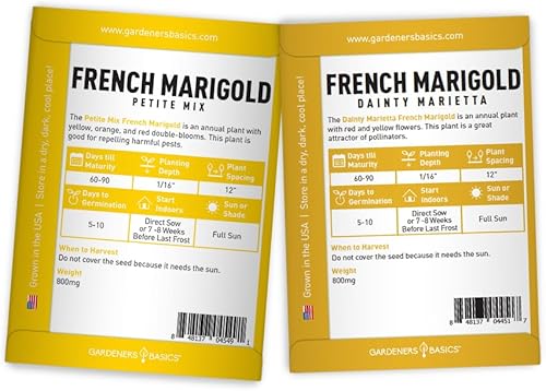 Miniatura 3 de Gardeners Basics, Semillas de caléndula para plantar al aire libre (paquete de 4 variedades) mezcla pequeña de caléndula francesa, marietta