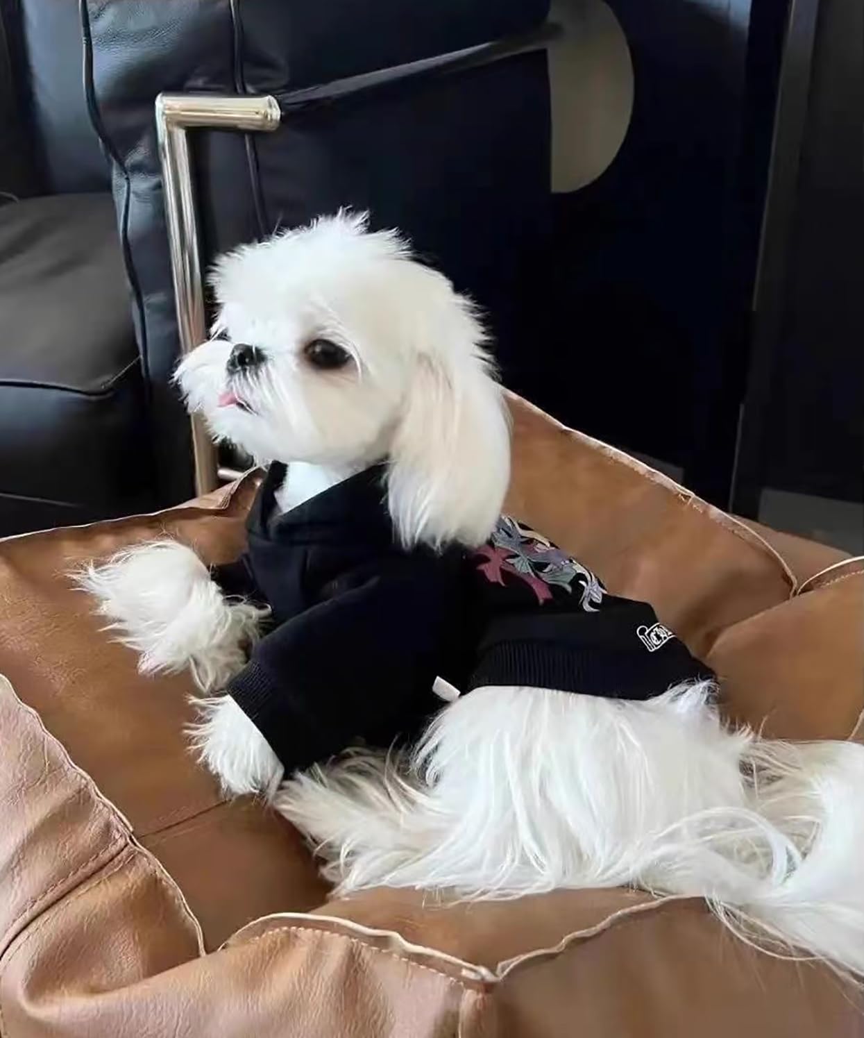 Amazon | クロムハーツ ペット服 ドッグウェア ペットウェア 犬服 猫服