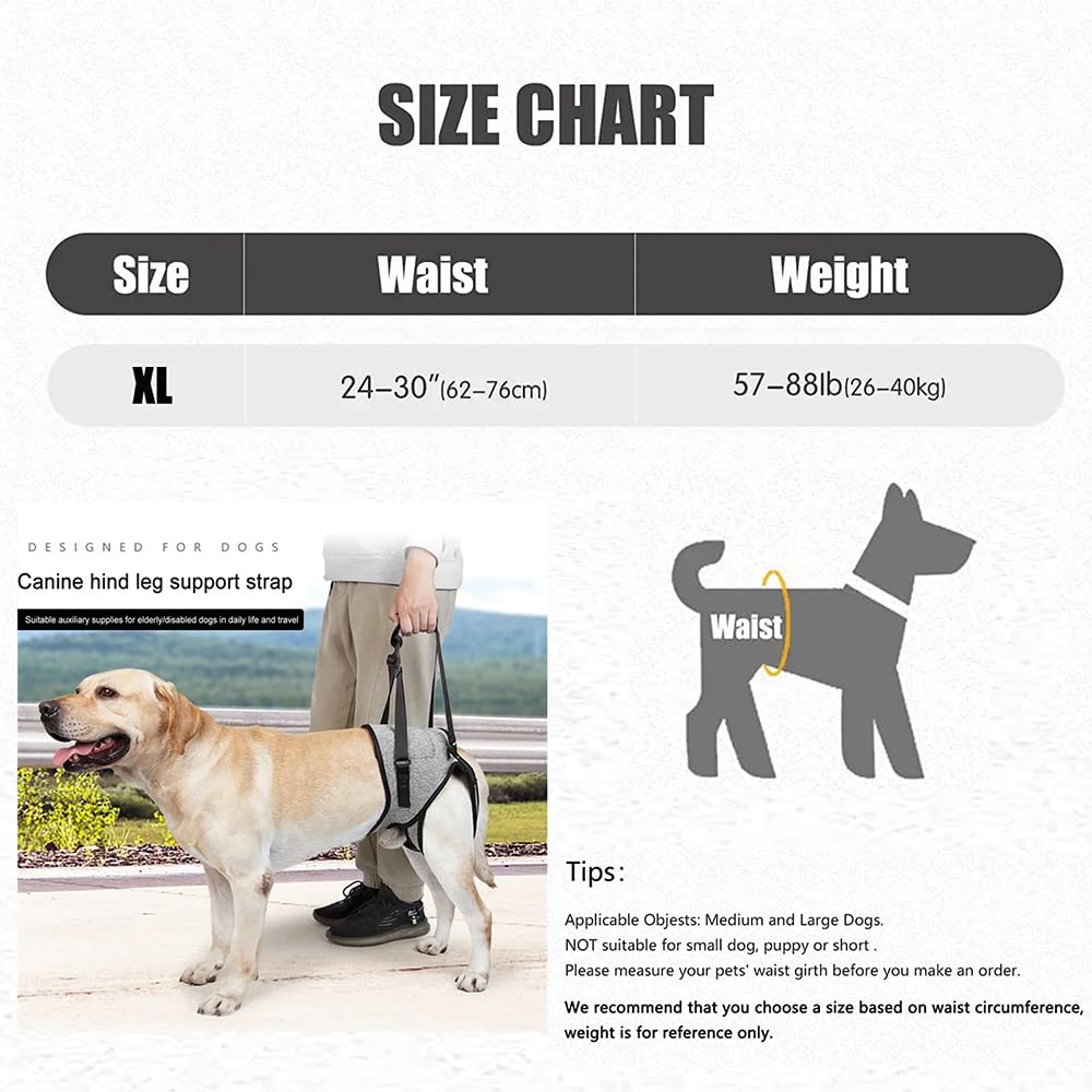 Arnés De Apoyo para Patas Traseras,Arnes de Transporte para Perros, Arnés de Elevación para Perros,Transpirables Acolchadas Ajustables,Impermeable,para Mascotas Y Rehabilitación Correas(XL,Gris)