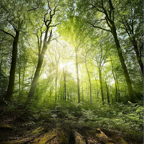 Movement One &ndash; Isn&rsquo;t This a Splendid World? (S1, Ep.1)