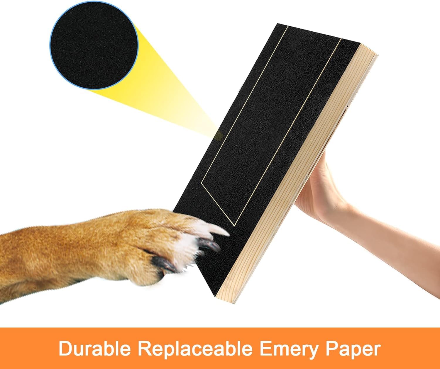 View 4