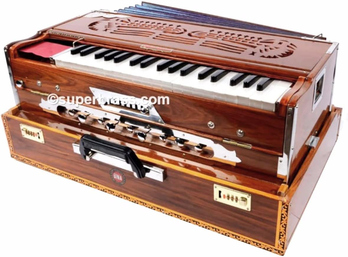 CONCERT GRADE BINA PROGRADE INDIAN PORTABLE 9SCALE