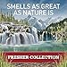 Old Spice Fresher Collection Men's Anti-Perspirant and Deodorant, Fiji Scent - 3.4 Oz