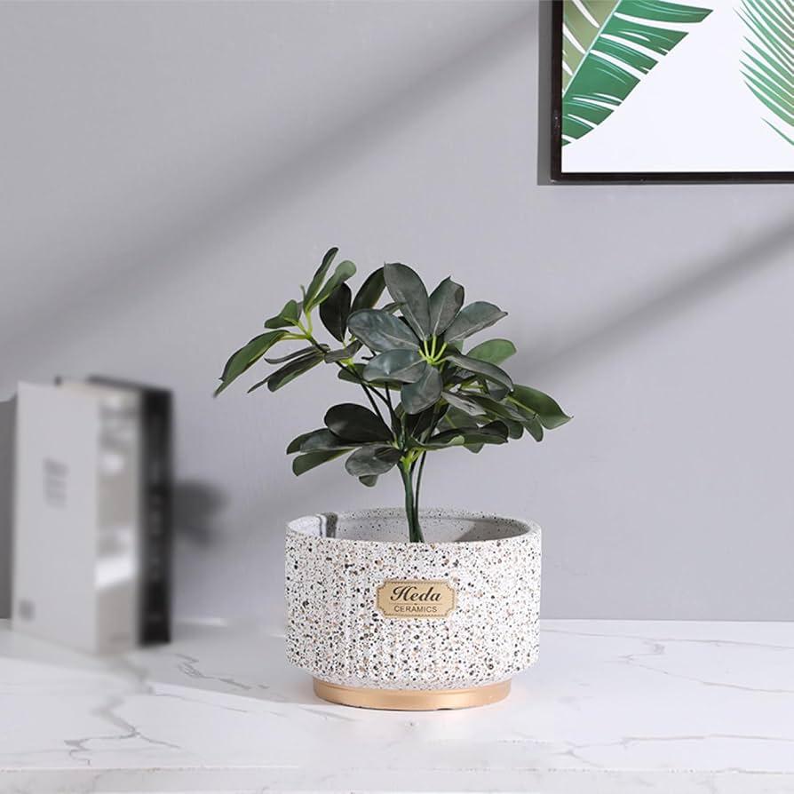 Amazon.co.jp: 植木鉢 軽い鉢 多肉植物鉢 光沢感 22*15cm プランター