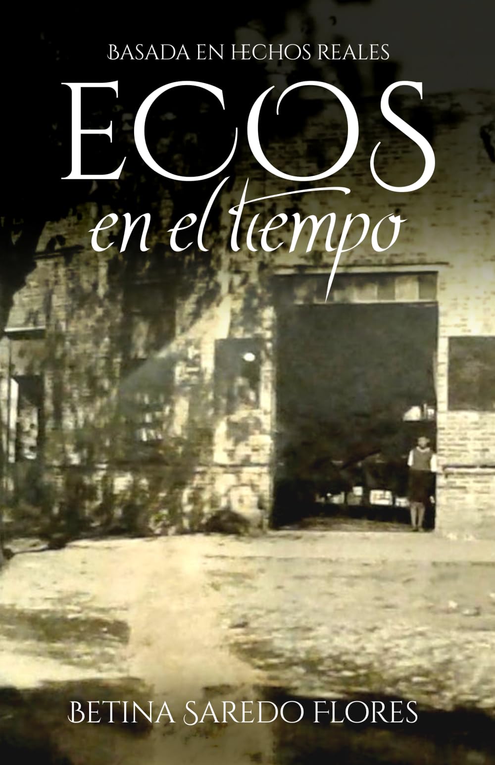 ECOS EN EL TIEMPO: El viaje transgeneracional de una madre en busca de respuestas (Basada en hechos reales)