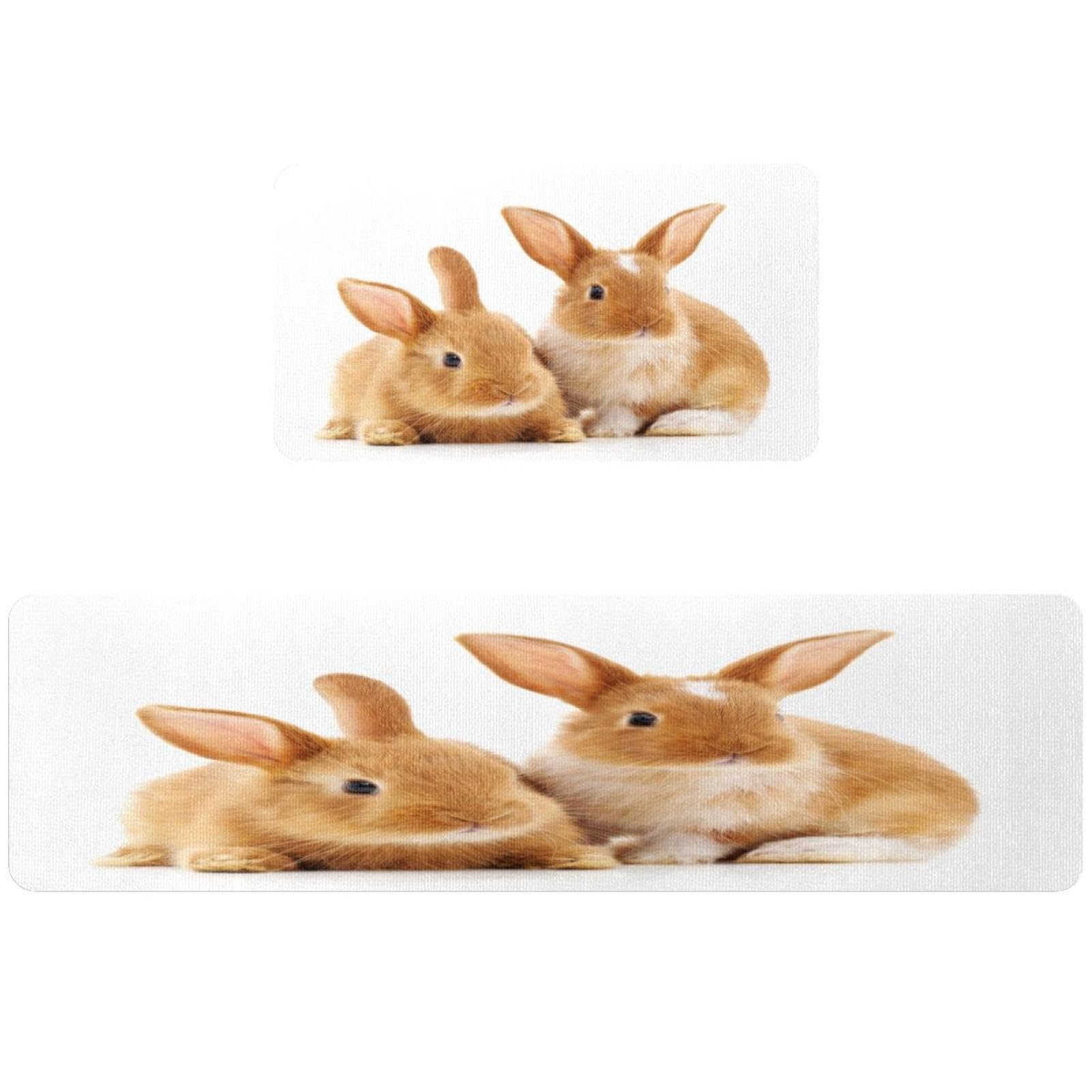 Alfombra absorbente para cocina y cuarto de lavado con diseño de dos conejos