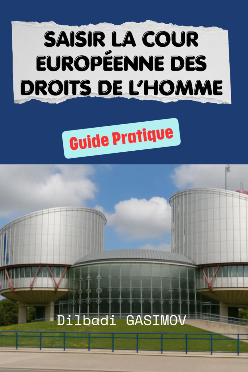 Saisir la Cour Européenne des Droits de l’Homme: Guide Pratique