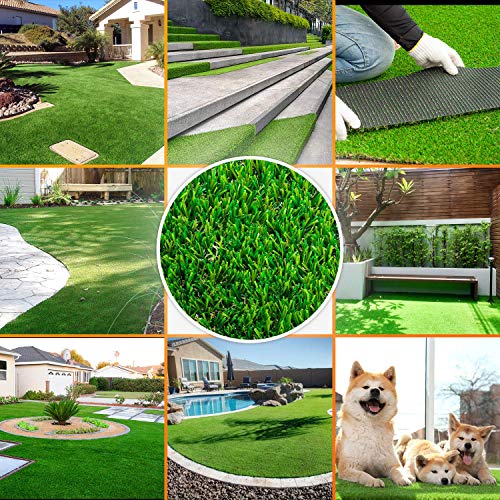 12 Best Vet Artificial Grass for Dogs in 2022