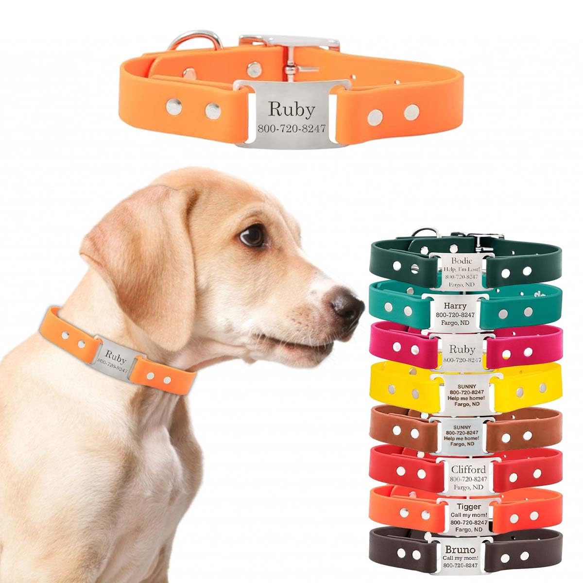 dogIDs Personalized Dog Collar – ScruffTag Custom Waterproof Biothane Dog Collar with Laser-Engraved Name, Durable & Odor-Resistant – USA Made |