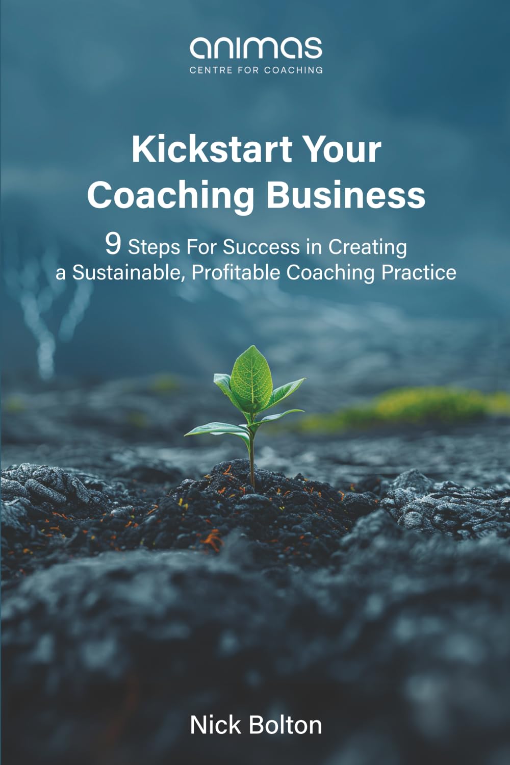 Kickstart Your Coaching Business: 9 Steps For Success in Creating a Sustainable, Profitable Coaching Practice