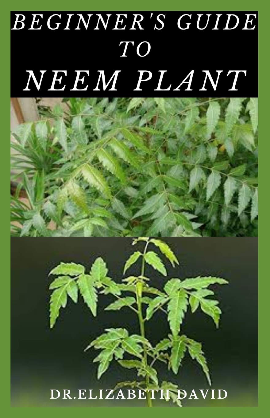 Buy BEGINNER'S GUIDE TO NEEM Everything You Need To Know About Neem