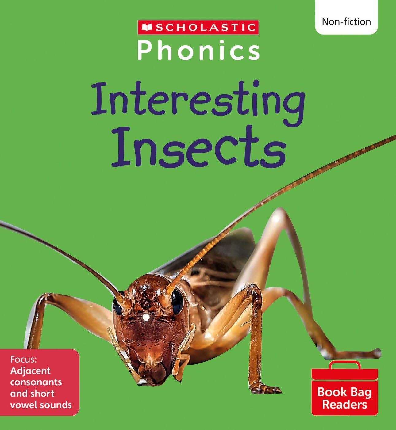 Scholastic Phonics: Interesting Insects (Set 7). Decodable phonic reader for Ages 4-6. Phase 4 (Phonics Book Bag Readers Non-fiction)