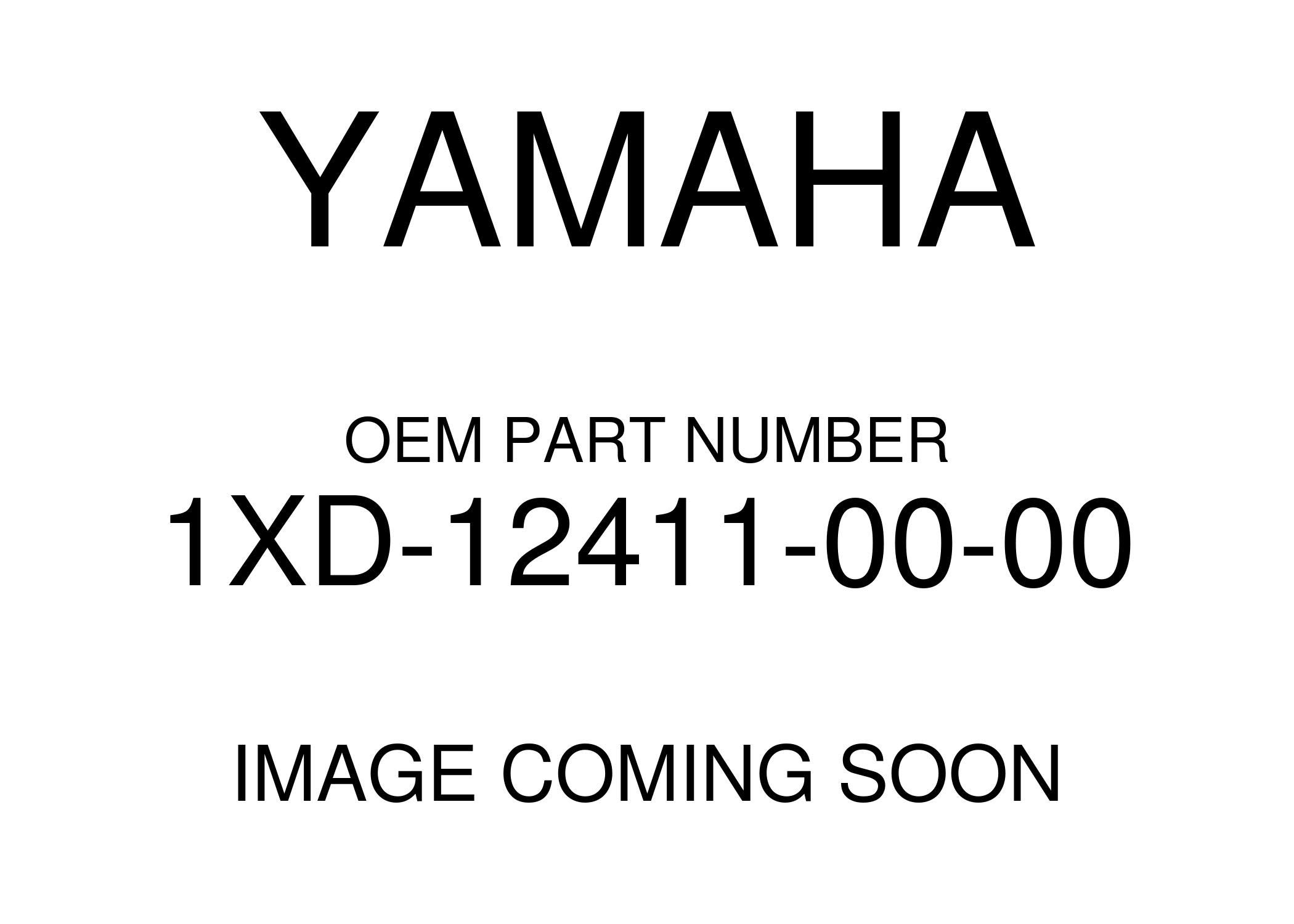 Amazon.com: Yamaha New OEM 1XD-12411-00-00 Thermostat 1XD124110000