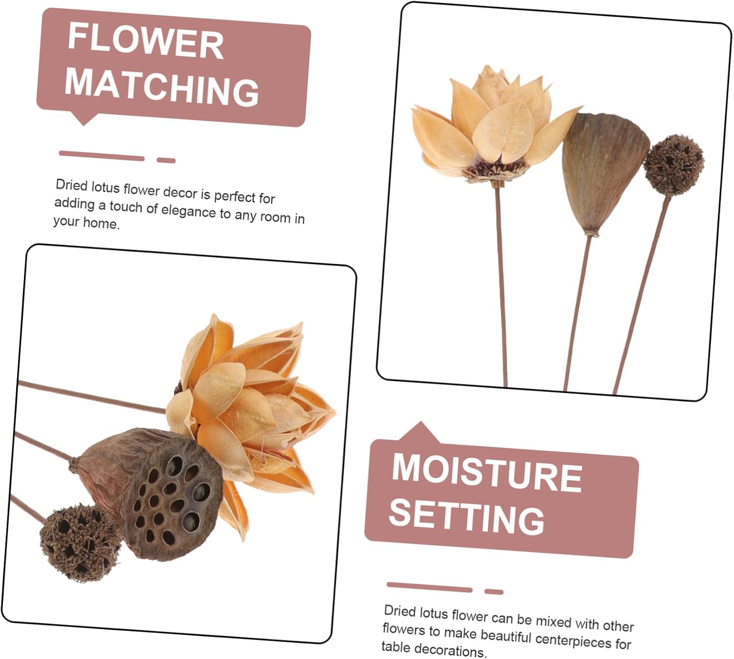 Dried Lotus Flower Arrangement for Home Decor Floral Centerpiece with Stems Living Room Office Wedding and Party Decorations