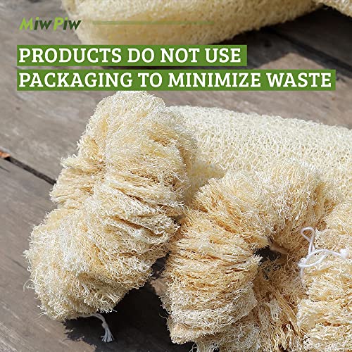 Image of Natural Loofah Dish Sponge Vegetable Scrubber for Kitchen - 100% Biodegradable Compostable Dishwashing Scouring Pad Zero Waste Luffa Loofa Loufa Lufa (Pack 1)