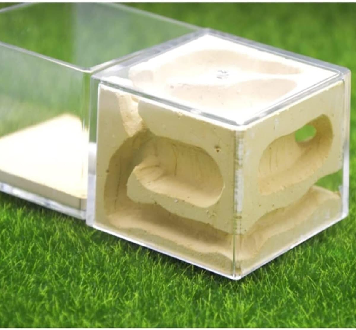 Ant Farm Ant Castle Nest Plaster Farm Palace Kids Habitat(Pink)