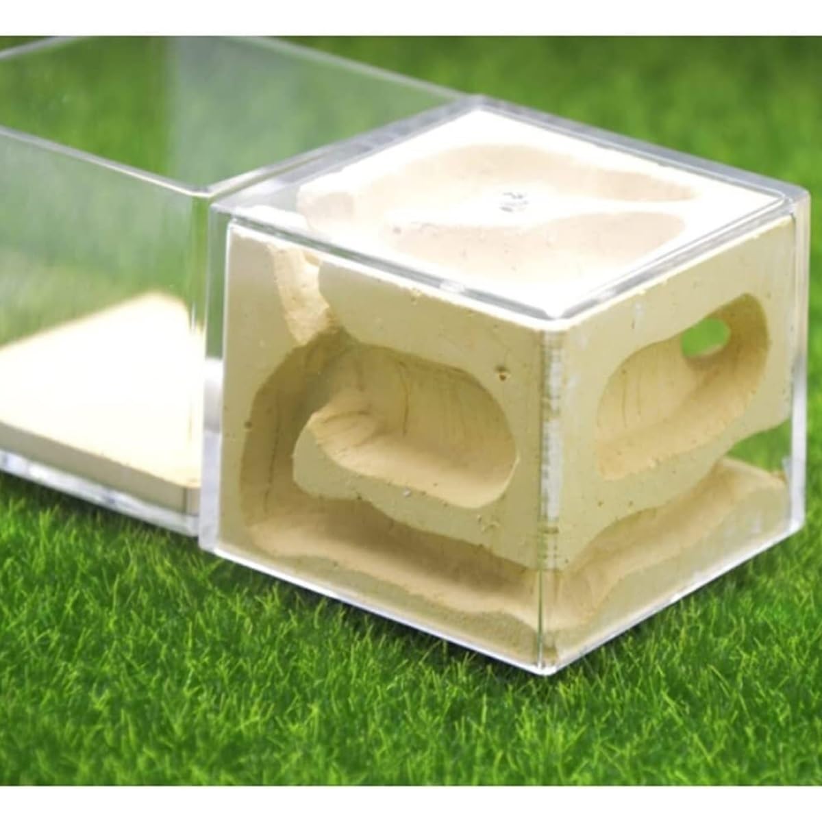 Formicario Castello Di Formiche Nido In Gesso Fattoria Palazzo Per Bambini Habitat Nido Terrario(White)