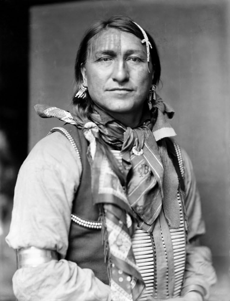 Sioux Native American C1900 Njoe Black Fox A Sioux Native American From Buffalo BillS Wild West Show Photographed By Gertrude KSebier C1900 Poster Print by (24 x 36)