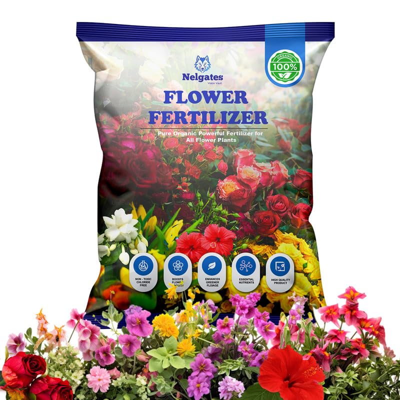 Flower Plant Fertilizer | Premium Bloom Enhancer for Roses, Hibiscus, Lotus, Mogra, Lily & All Flowering Plants 500g Flower Plant Fertilizer | Premium Bloom Enhancer for Roses, Hibiscus, Lotus, Mogra, Lily & All Flowering Plants 500g