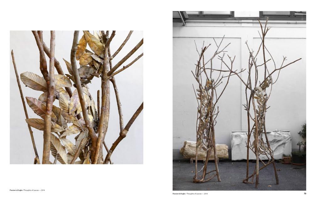Giuseppe Penone Imprints of Light /anglais/italien