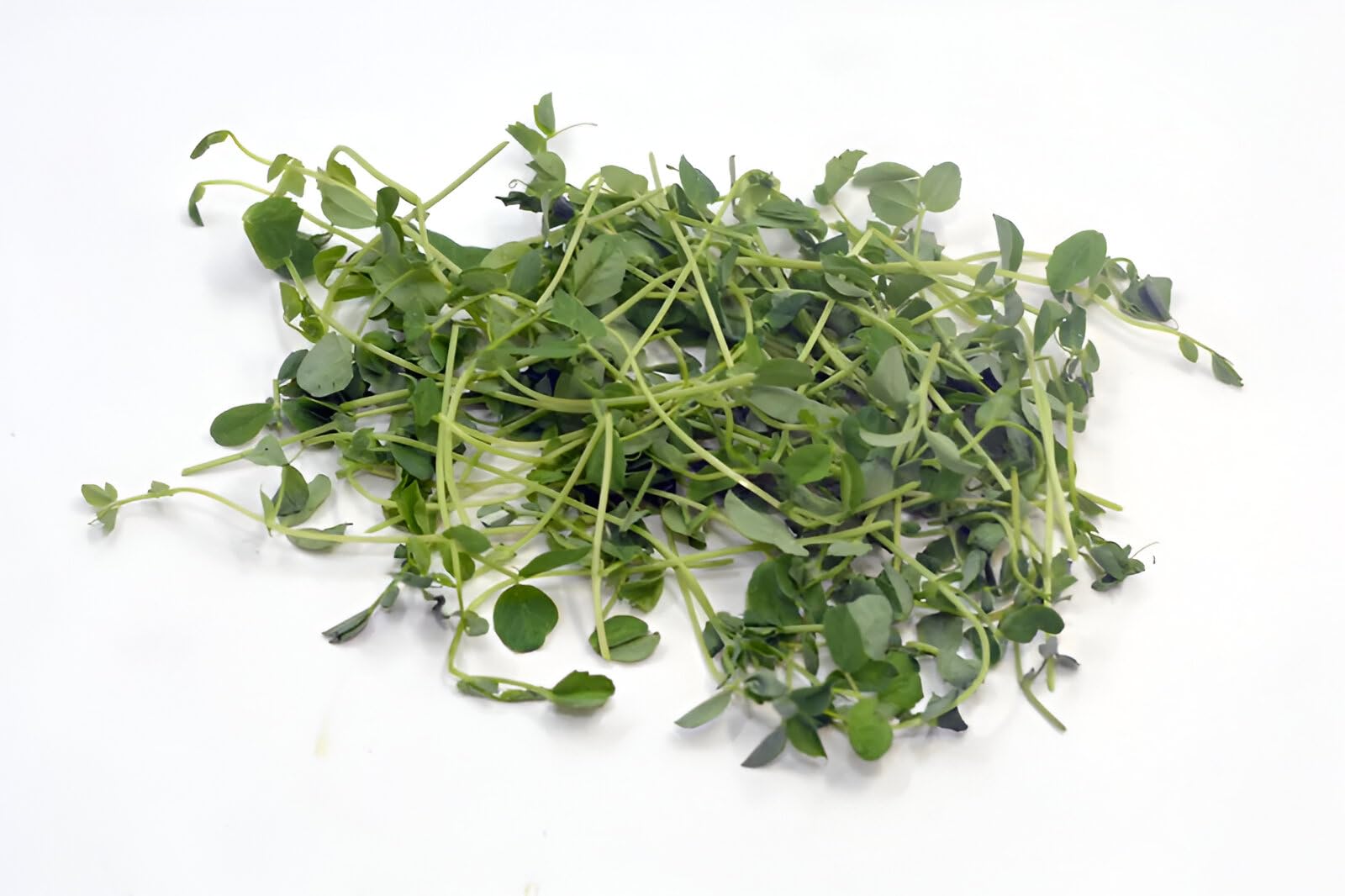Trikaya Microgreen Peas Shoot, 50g-picture-15