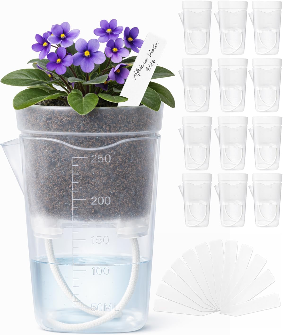 12 Pack 2.5" Small Self Watering Pots for Indoor Plants, Mini Clear Plastic Planters with Water Level Drainage Holes, 12 Plant Labels, Semi-Hydro Propagation Pots for Hoya, African Violets, Alocasia