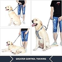 Vista 4 de Correa de perro de doble asa Plutus Pet de 6 pies, correa resistente con doble asa reflectante para entrenamiento de seguridad, para perros medianos