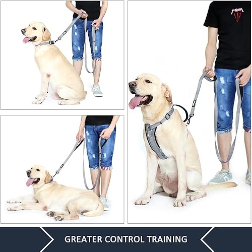 Miniatura 4 de Correa de perro de doble asa Plutus Pet de 6 pies, correa resistente con doble asa reflectante para entrenamiento de seguridad, para perros medianos