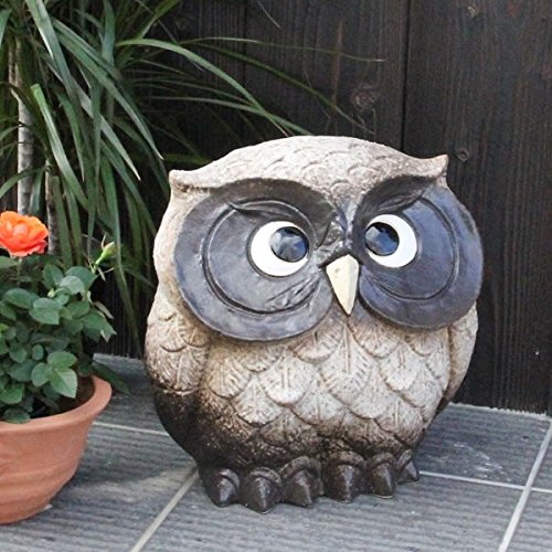 My Y (10, )yfu-0015z ӂ낤   MyĂ ĕ u u N Mtg v[g