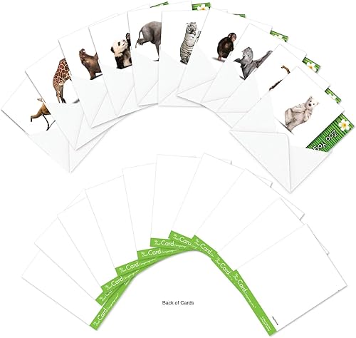 Miniatura 6 de The Best Card Company - 10 tarjetas de notas de yoga en blanco (4 x 5.12 pulgadas) - Tarjetas de notas en caja con sobres, tarjetas de animales