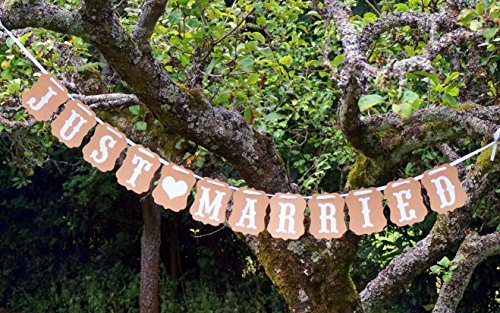 Brown & White Vintage Just Married Wedding Bunting Banner by Succulent Style Cover