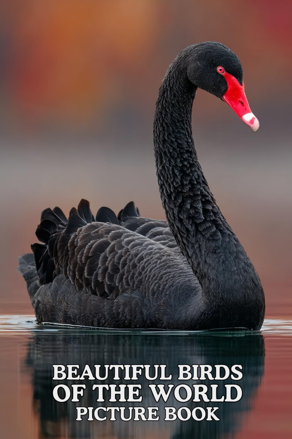 Beautiful Birds of the World: Picture Book: 40 Stunning Bird Images in Premium Color | A Visual Collection for Nature Lovers of All Ages.