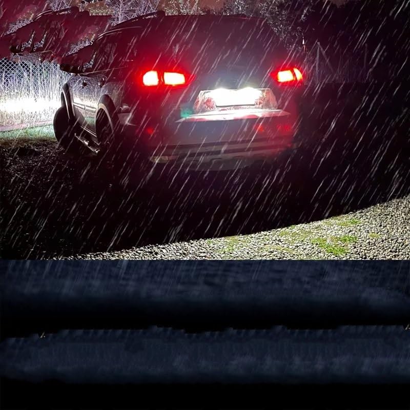 Luz de matrícula para Lexus GS300 que soluciona fallos de visibilidad en ITV 7