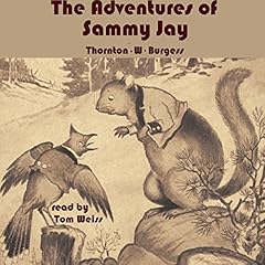 The Adventures of Sammy Jay Titelbild