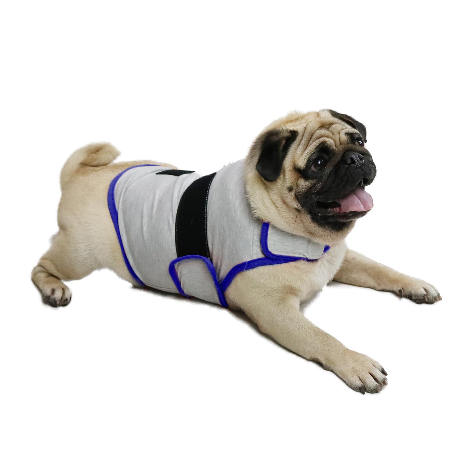 Dog Anxiety Relief Vest - Breathable Calming Coat for Thunderstorms, Travel, Fireworks &amp; Vet Visits (M, Light Grey)