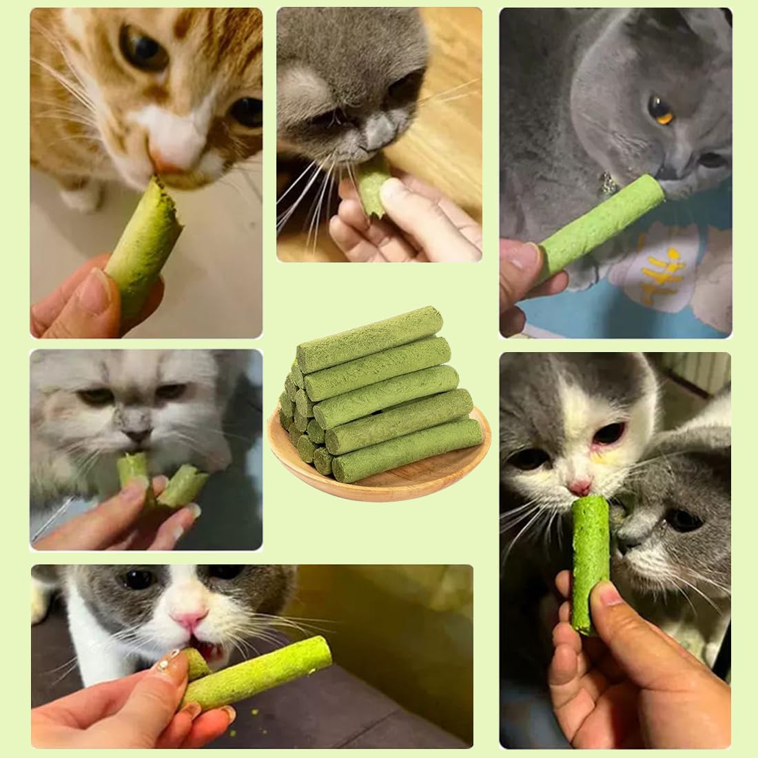 Herbe à Chat, 16 Pcs Herbe à Chat Séchée, Friandises pour Chats, Lyophilisé, Baton d'herbe à Chat, Snack pour Chat Lyophilisé pour Le Nettoyage des Dents et Élimination des Boules de Poils