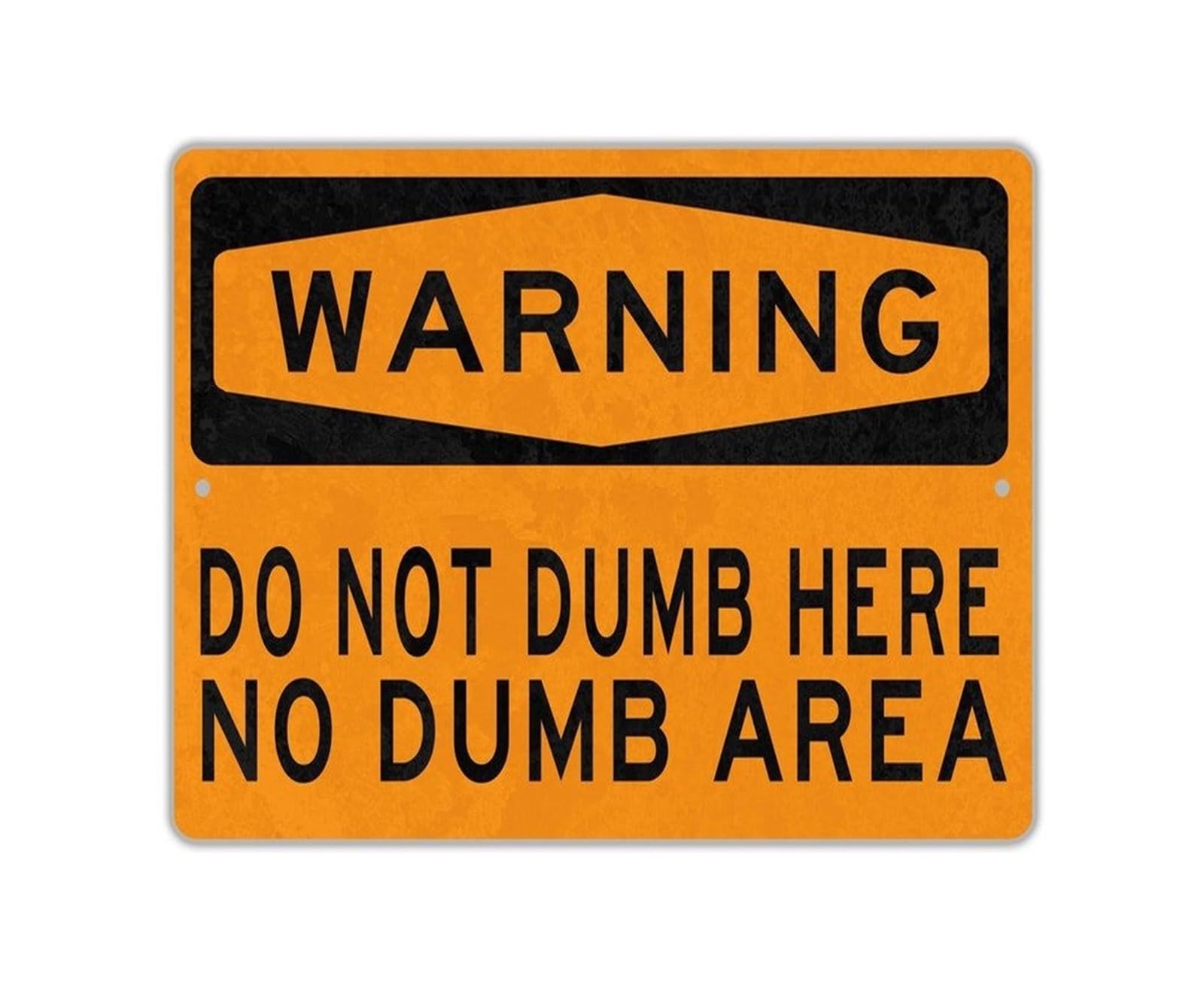 FNYUVNFAF Sarcastic Workshop Sign Metal Wall-Art No Advice Needed Funny Garage Sign Humorous Gift for Dad Man Cave or Garage Decor 8 X 12 in