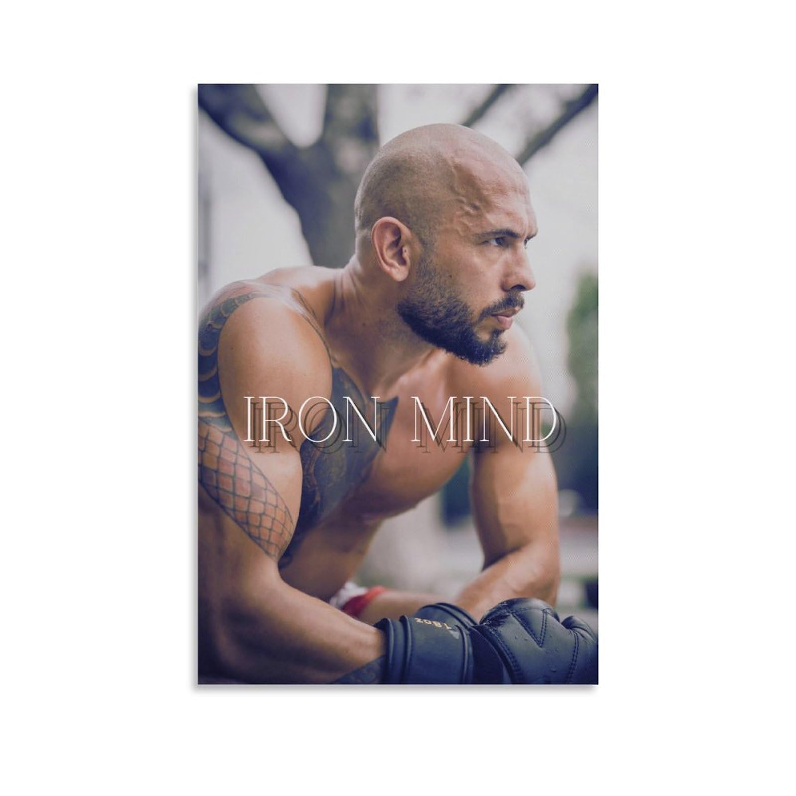 Amazon.com: Andrew Tate 帆布海報牆壁藝術圖片懸掛照片禮物創意裝飾居家海報藝術品20x30 英吋(50x75 公分) :  居家與廚房