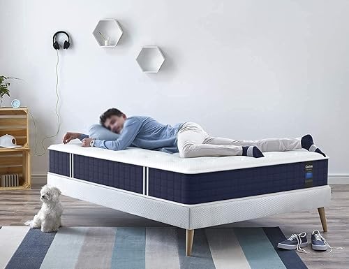 Miniatura 6 de Colchón Coolvie Twin XL, colchón híbrido de 10 pulgadas tamaño Twin XL, muelles de bolsillo individuales con espuma viscoelástica, cama en una caja
