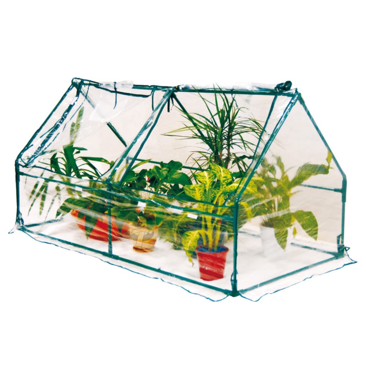 STI Serra da balcone terrazza giardino,182x92x92 H per piante e fiori, telo PVC, due aperture dall'alto, facile da montare e riporre cm STI