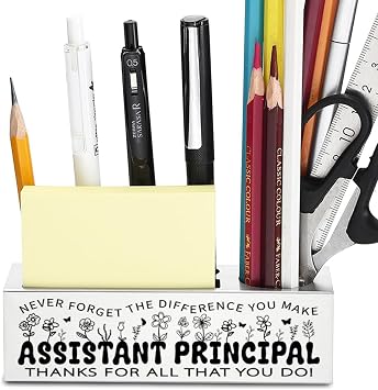 llxxeyopqdxz Thank You Appreciation Gifts for Assistant Principal, Christmas Birthday Retirement Gifts for Assistant Principal Pencil Pen HoldersYP419