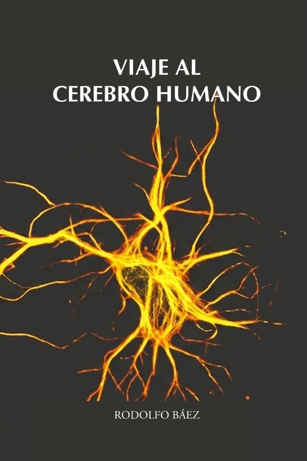 Viaje al cerebro humano