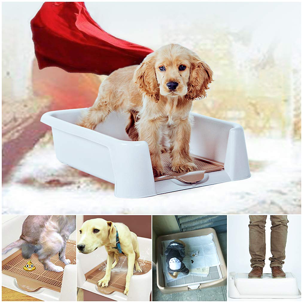 Vind puppy-toilet in Honden-accessoires op