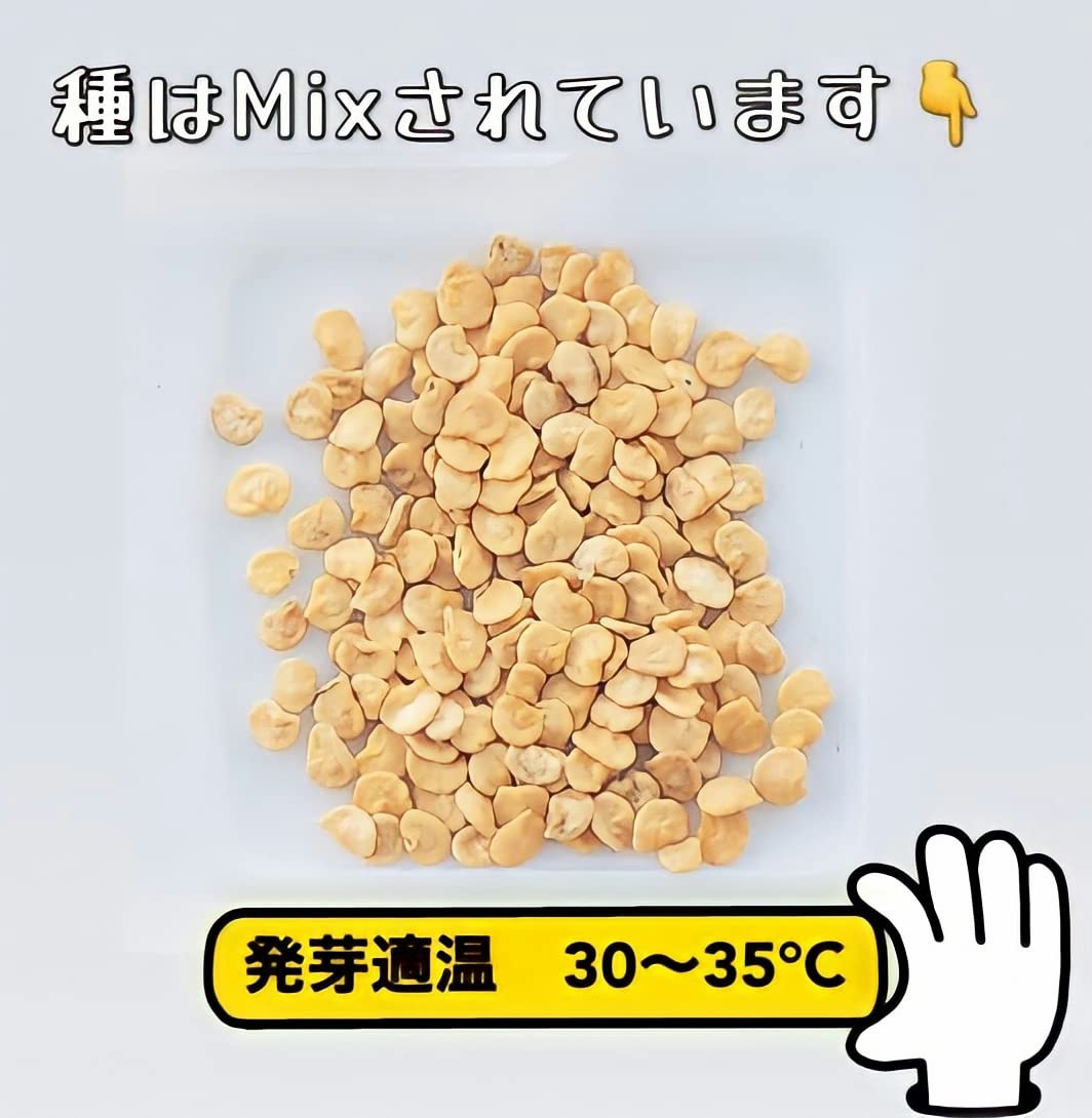 Amazon.co.jp: ウクレレ園芸SHOP ☆カラフルパプリカ☆ 種子0.5㎖(約25