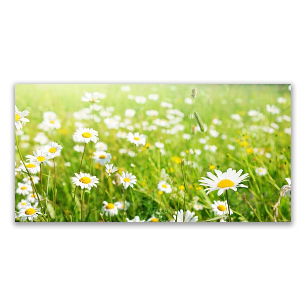 Meadow marguerites nature impression sur verre trempé 120x60cm