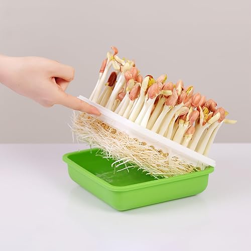 Miniatura 6 de Bandeja de germinación de semillas con tapa, iniciadores de plantas, bandeja de vivero, germinación de pasto de trigo, propagador cultivador para