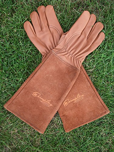 Rose Pruning Gloves for Men and Women. Thorn Proof Goatskin Leather Gardening Gloves with Long Cowhide Gauntlet to Protect Your Arms Until The Elbow (Extra Small, Brown)