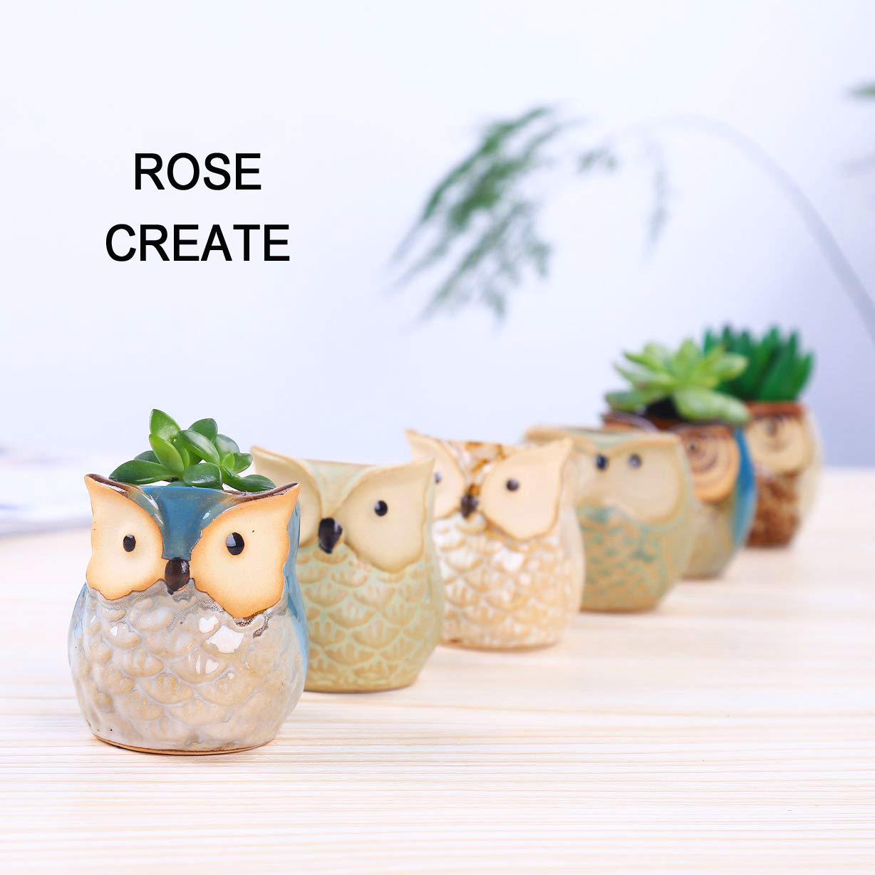 Set 6 Vasi In Ceramica Con Gufo Per Piante Grasse E Cactus – 6,5 Cm, Con Foro Di Scarico, Ideale Regalo